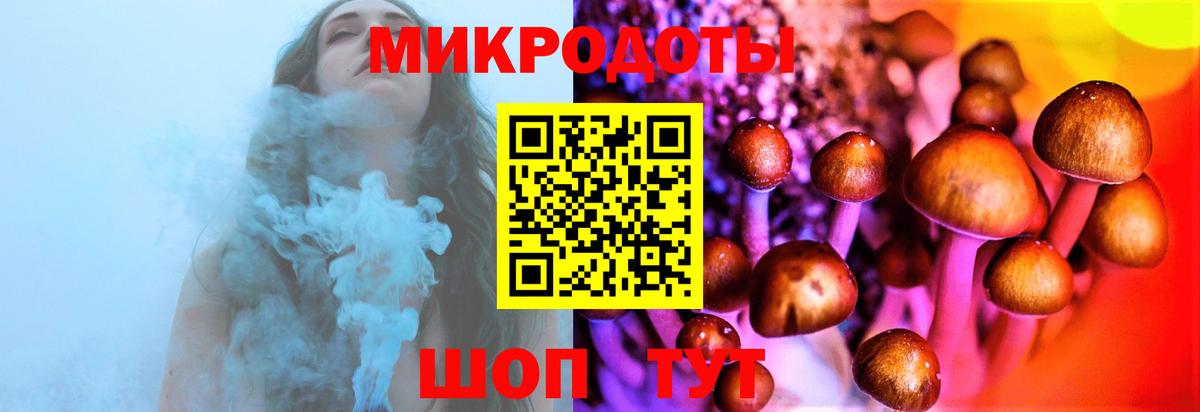 Псилоцибиновые грибы Psilocybe  Вход с VPN  Галлюциногенные грибы MAGIC MUSHROOMS  Малгобек 